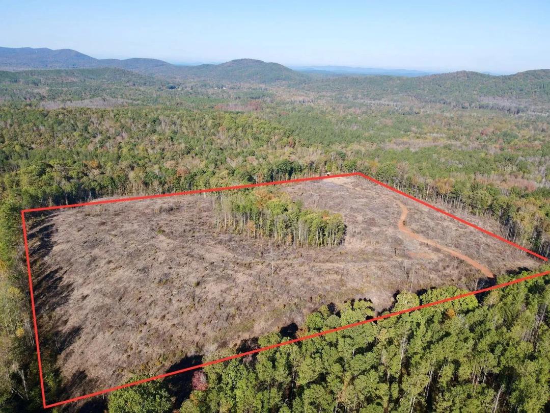 40+/- acres Chandler Springs- Clay County