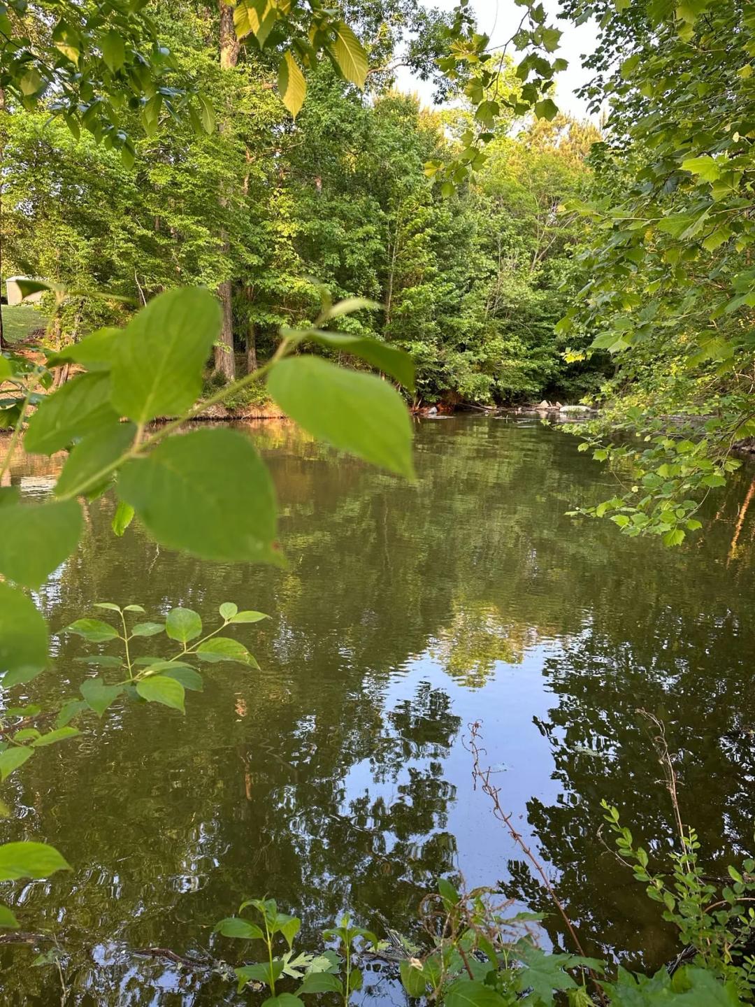 Lot 5 County Road 520
