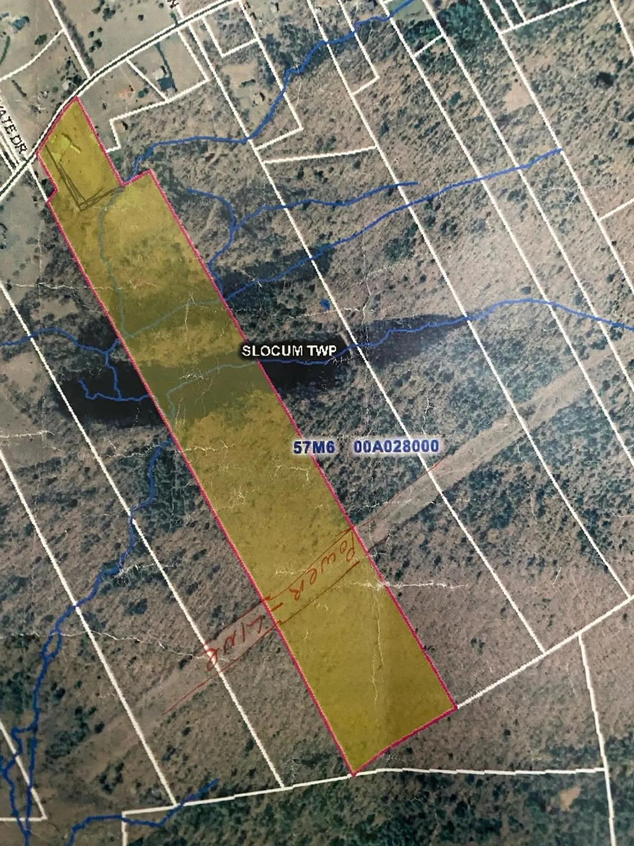 84405533-49