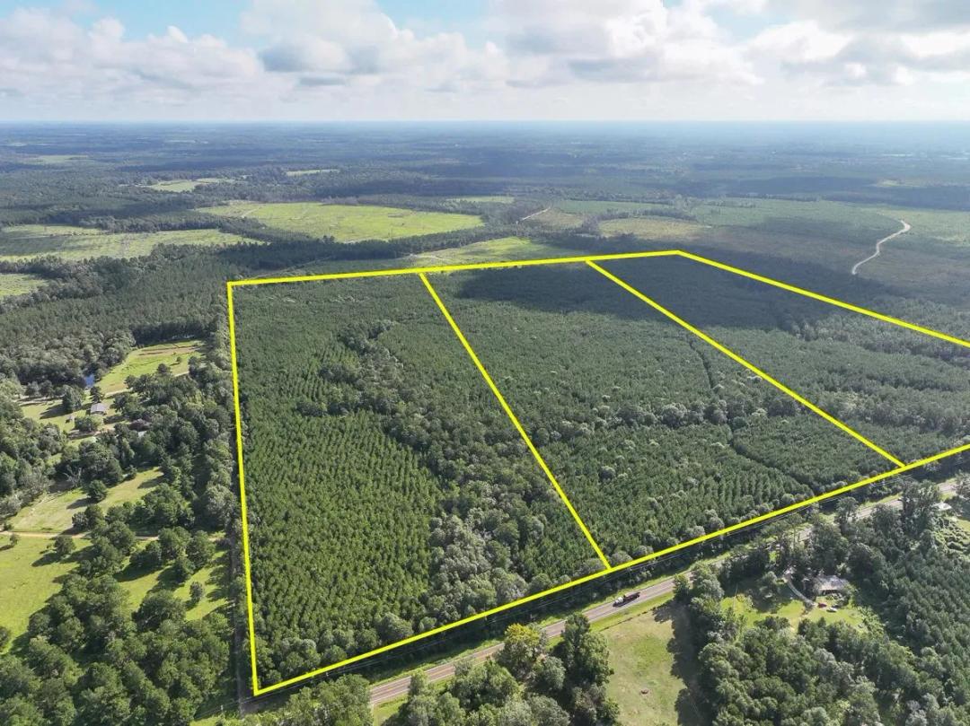 51 Acres | T-2 | FM 1013 | 287052