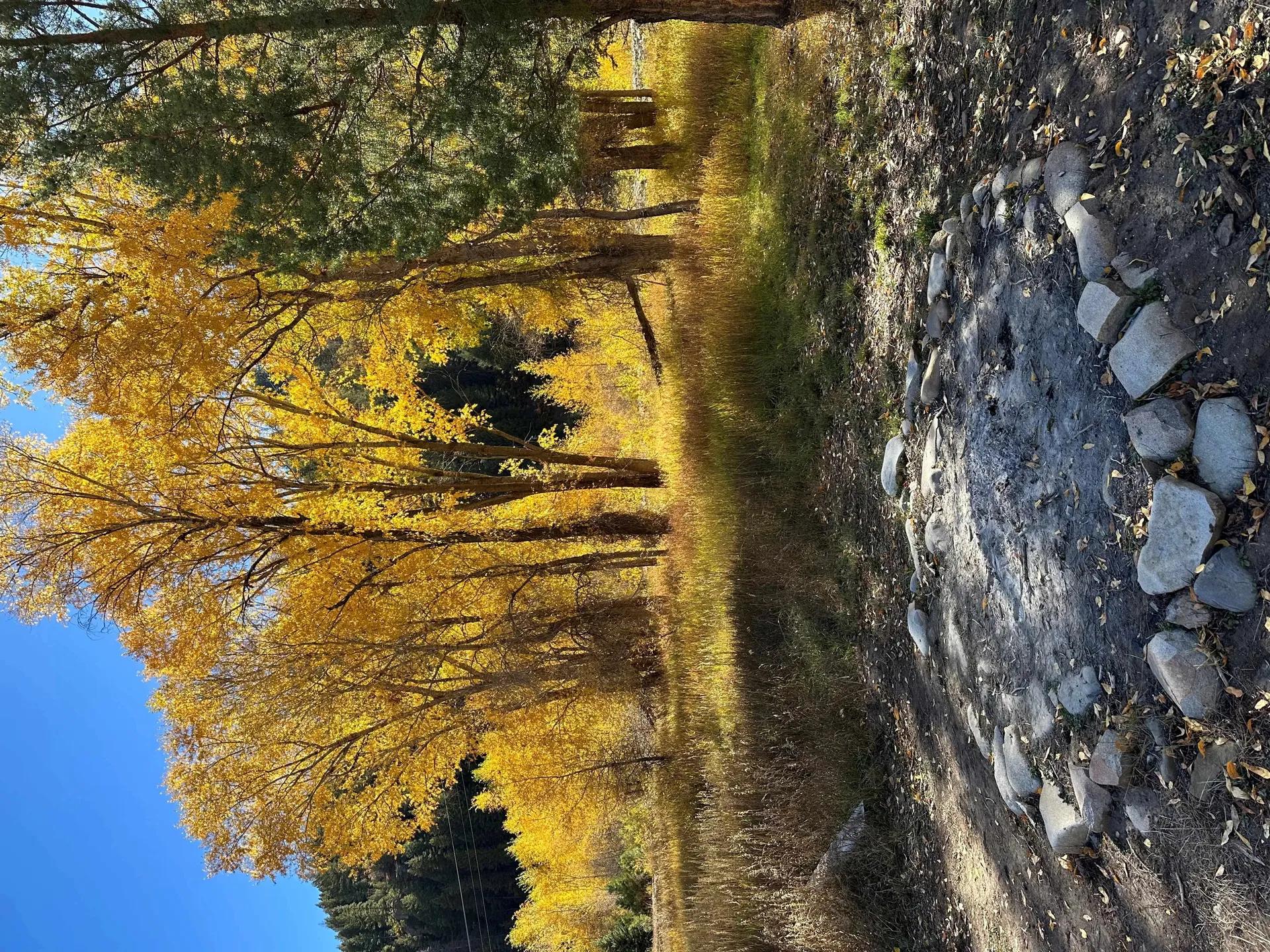 84455624-15