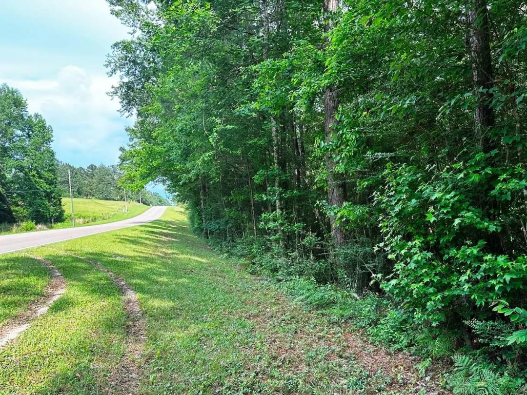 16.51 Acres at 0 Ollie Williams Road