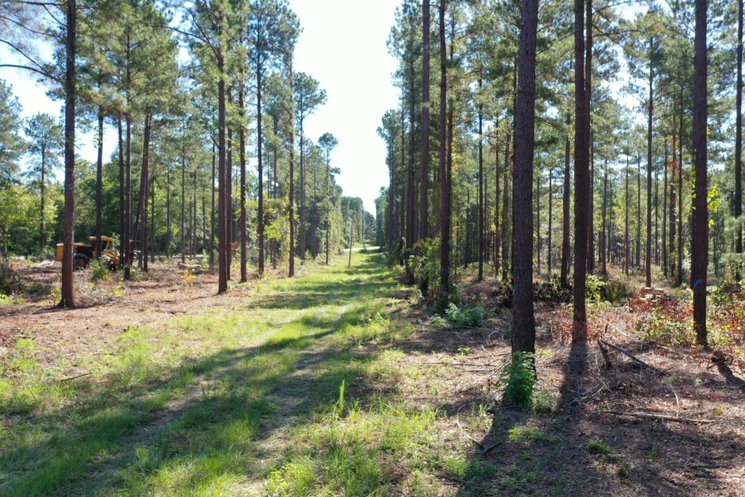 O’Quinns Pond Farm - 5.0 Acres