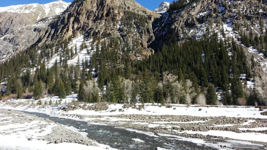 1 of a Kind - Pristine Mountain Beauty with  Animas River - Power