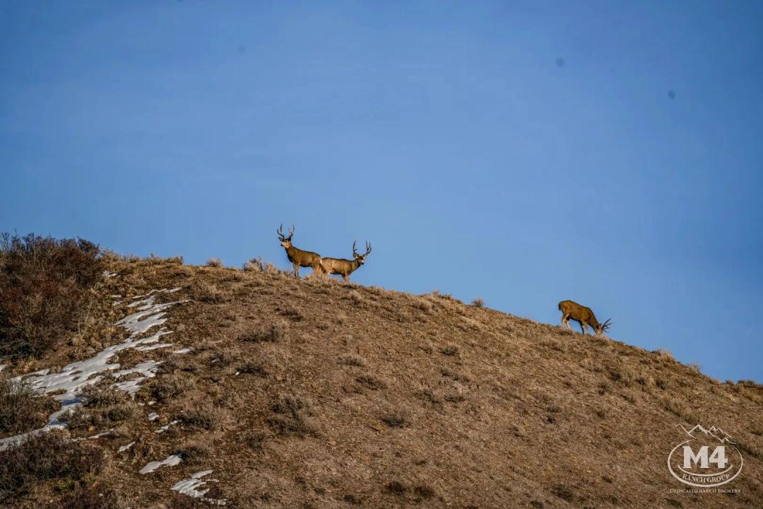 6 Peaks Ranch