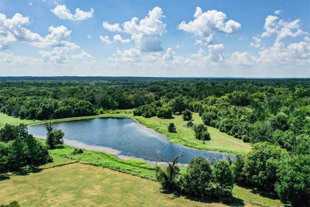 198 Acres | Western Walker County | High-Fenced Game & Premier Horse Ranch