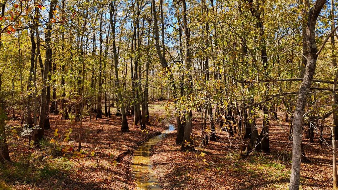 280 Acres in Tallahatchie County, MS