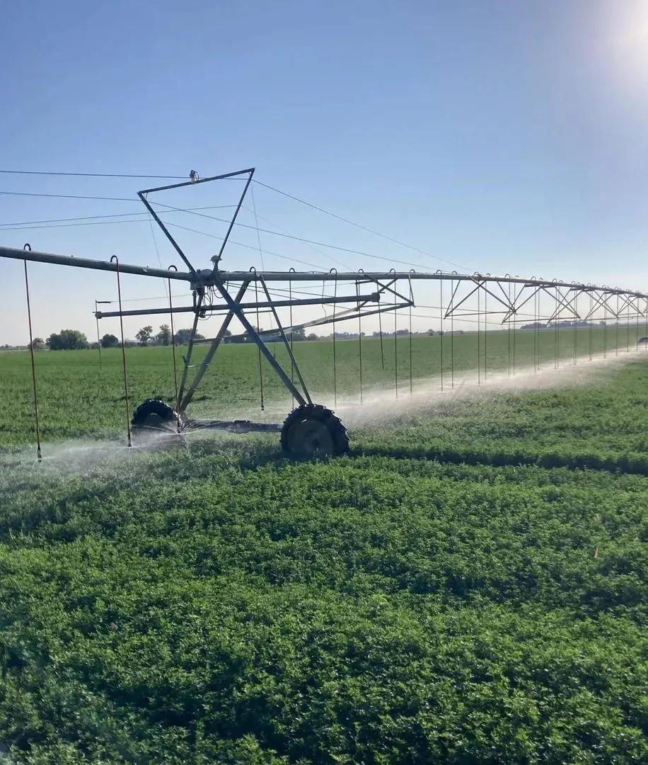 South Swink Farm &amp; Grow Yard