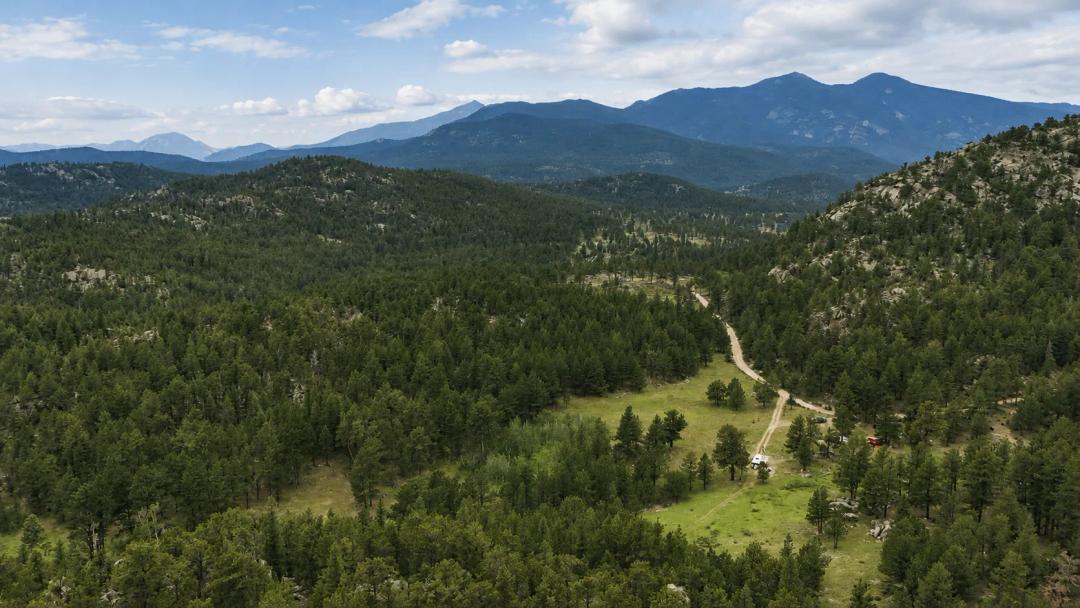 Blue Spruce Canyon