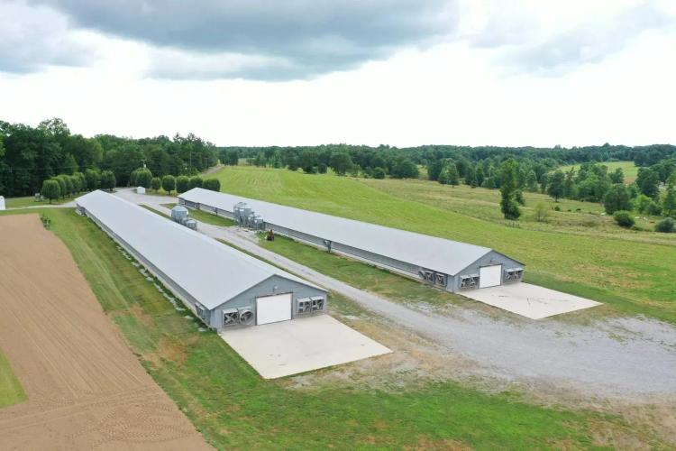 Hrang Family Breeder Farm