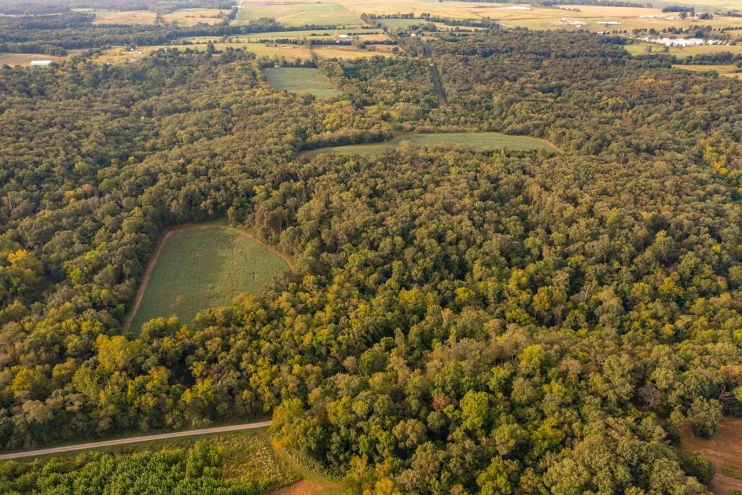 74± Acres of Prime Tillable & Turnkey Hunting Land with Exceptional Access