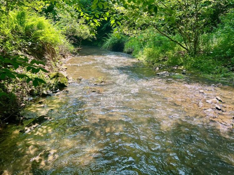 Oak Grove Rd., Beaver County - 131 +/- Acres