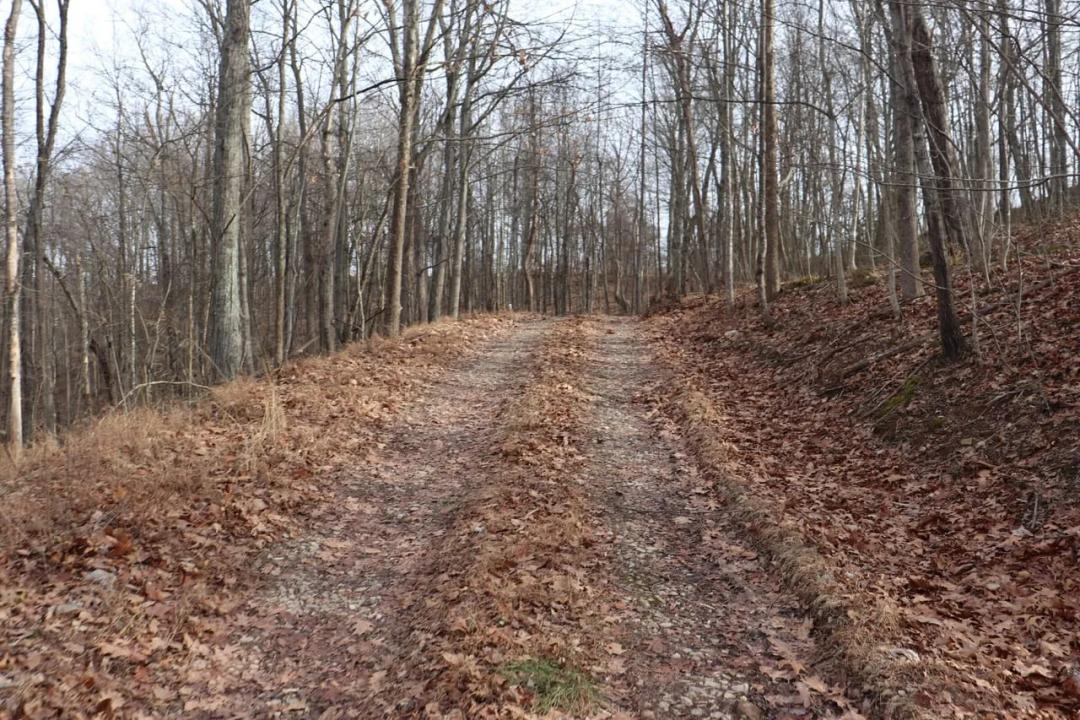 Recreational /Timber Property in Alum Creek