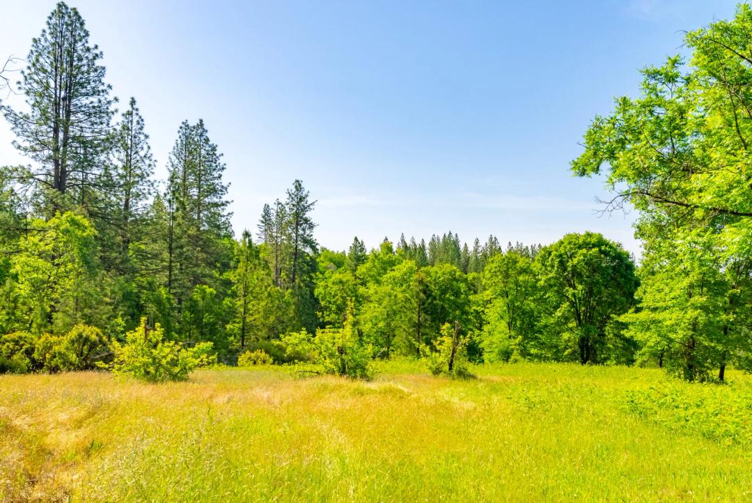 Round Spur Ranch