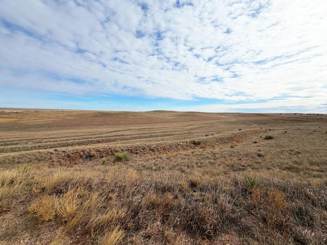 407 Acres, Kimball County, Mader Ranch