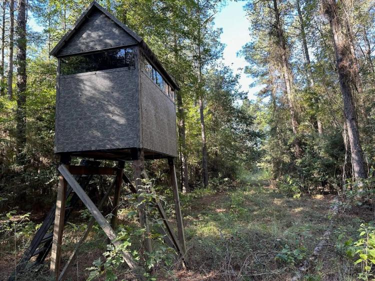 Hunting and Timberland Tract for sale in North Louisiana