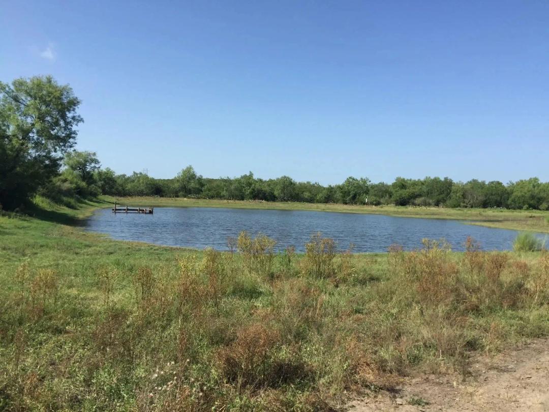 Frio County Ranch