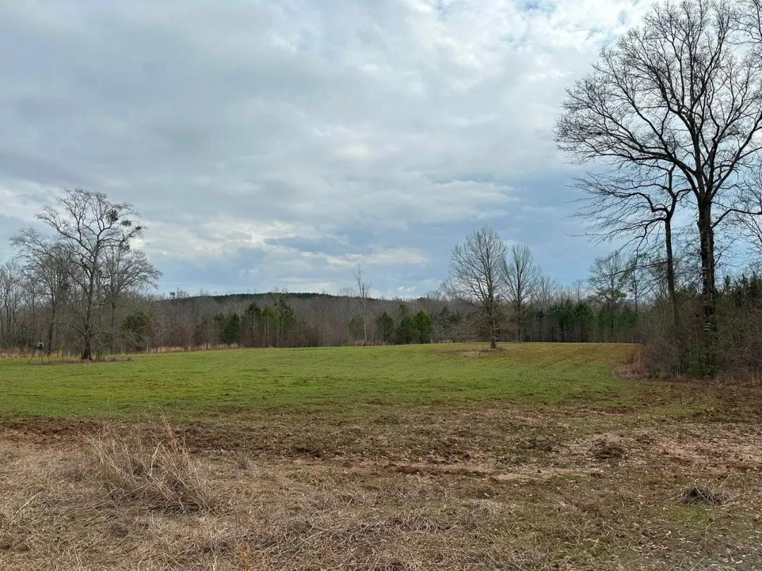 575.15 Acres at 0 Brannan Road