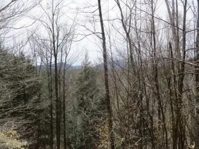 Three Sisters View