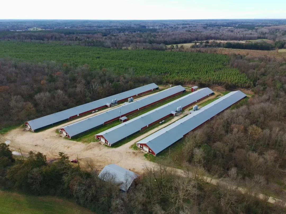 NEW PRICE - Nichols Broiler Farm – Four House Farm in Saluda County, South Carolina