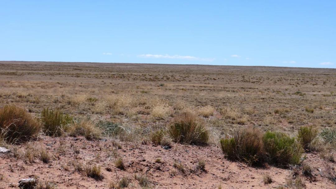 Large 2.5 acre parcel near Petrified Forest & Painted Desert