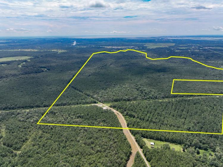 1,018 Acres | Trainer Lane | 02493
