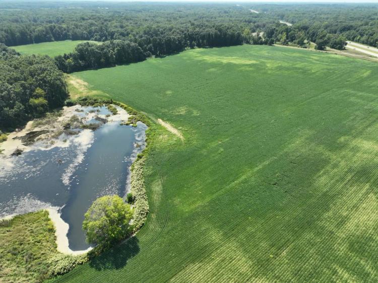 72.61+/- Acres, Carmody &amp; Boyer Rd, Coloma, MI Fruit Belt