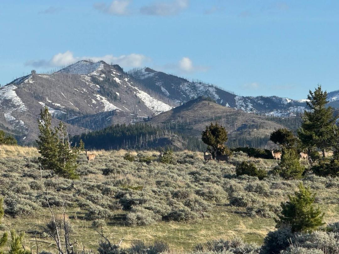 The Upper Deer Creek Ranch