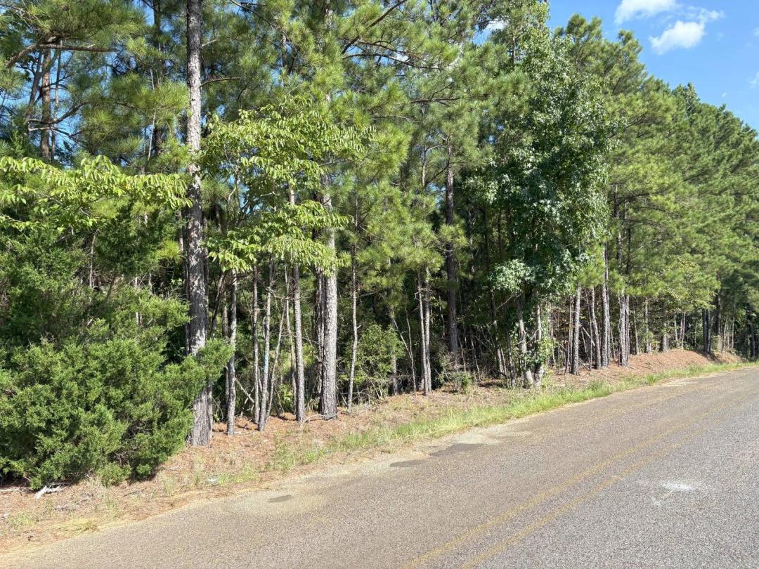 8+/- acres of unrestricted property in Calhoun