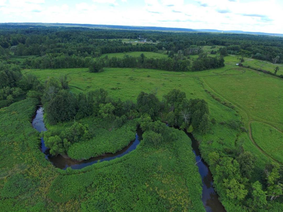 Escape to the Country: Your Dream Property Awaits!