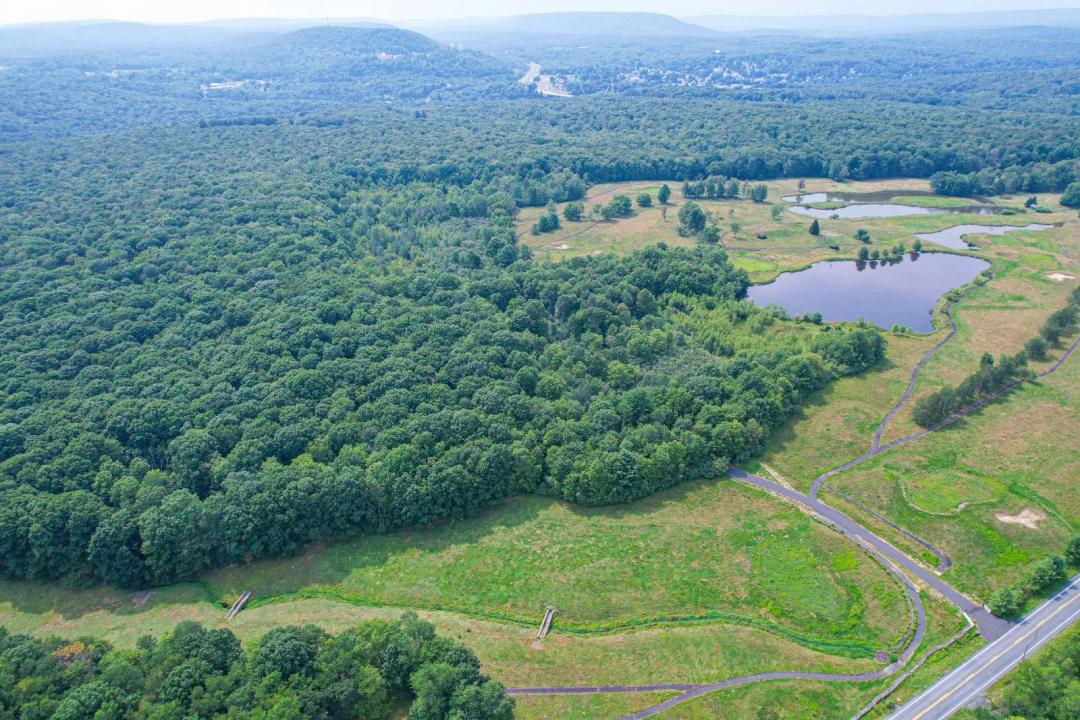 Wooded Hunting &amp; Timber Tract for Sale in Carbon County, PA - Bo