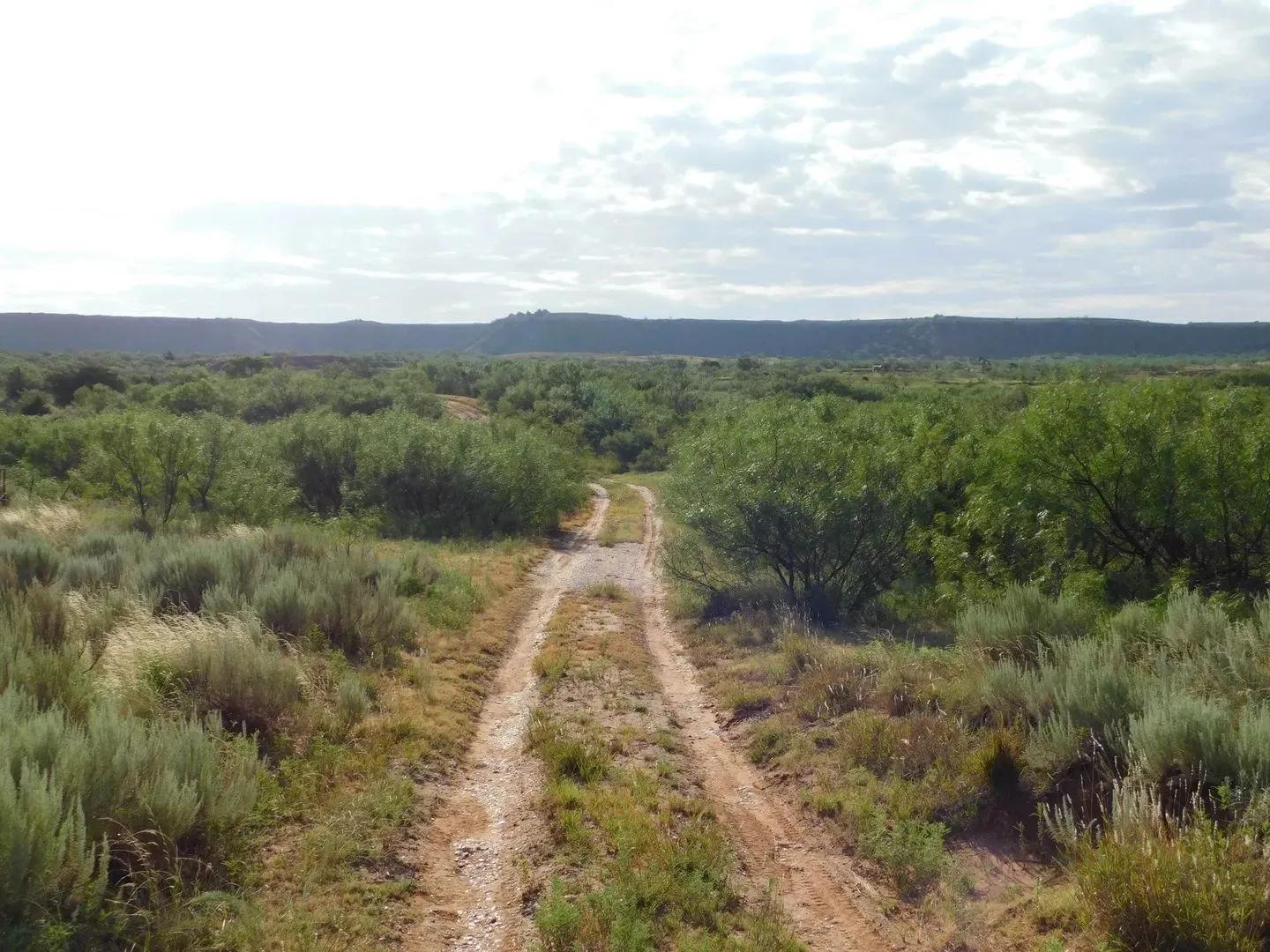 84966236-10