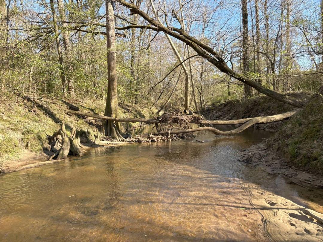 34 acres +- Hunting Tract