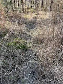 84967531-24