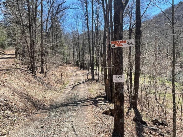 PORCUPINE TRAIL, POTTER COUNTY - 23 +/- ACRES