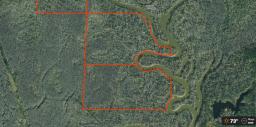 84989619-33