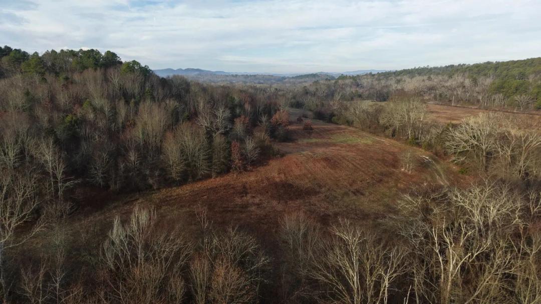 15.84 Acres [Tract 7] in Montgomery County, AR