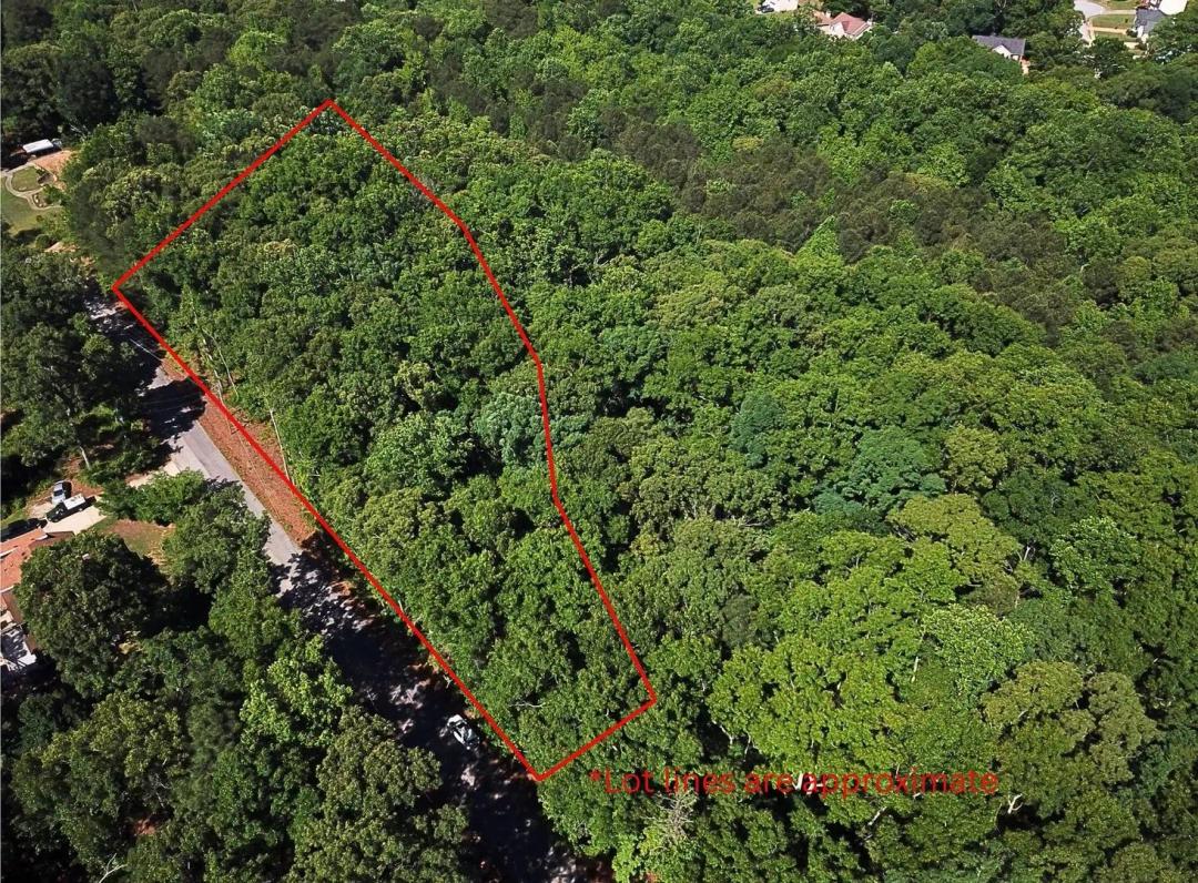 Beautiful DIVIDABLE Wooded Lot - ZONED R-LD