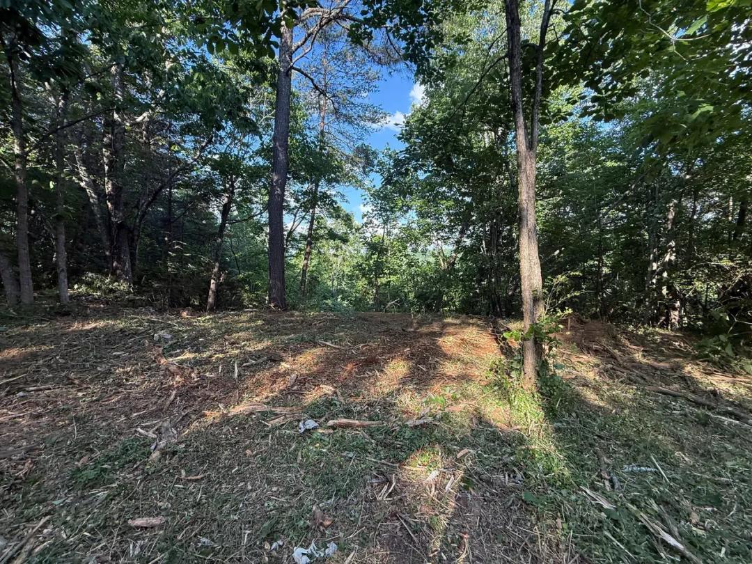 Stunning 2.5+/-acre unrestricted property on Middle Ridge Road in Beersheba Springs, TN