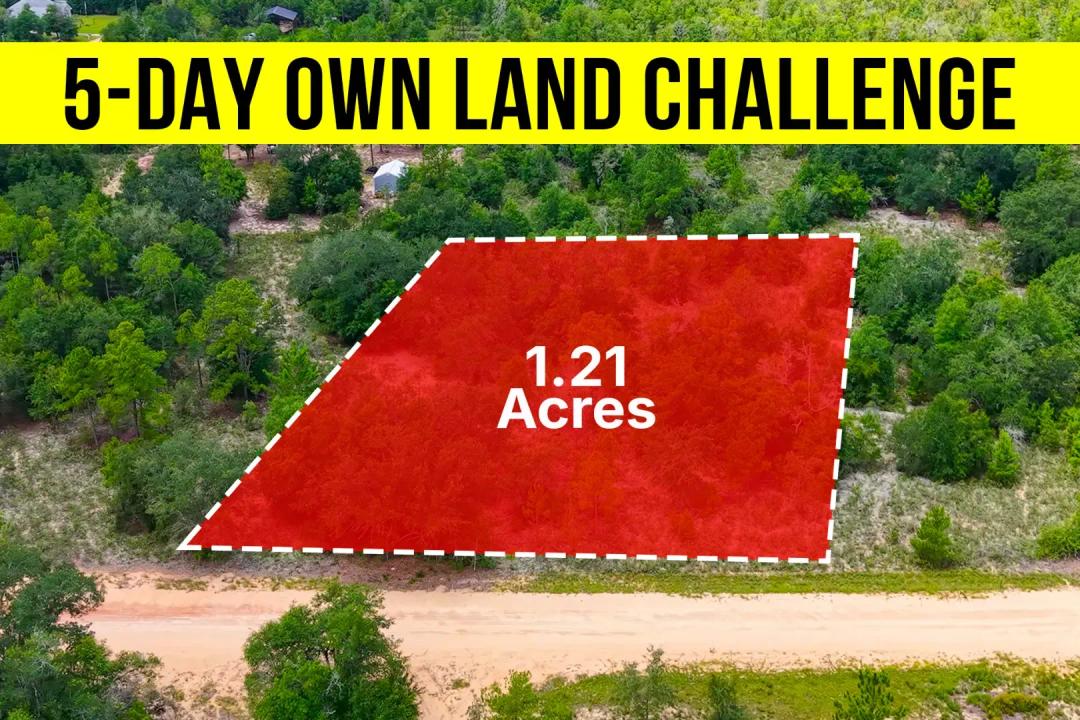 Own a 1.21-Acre Near Paved Road Access Lot in FL - Owner Financing