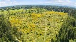 40 acres Yelm