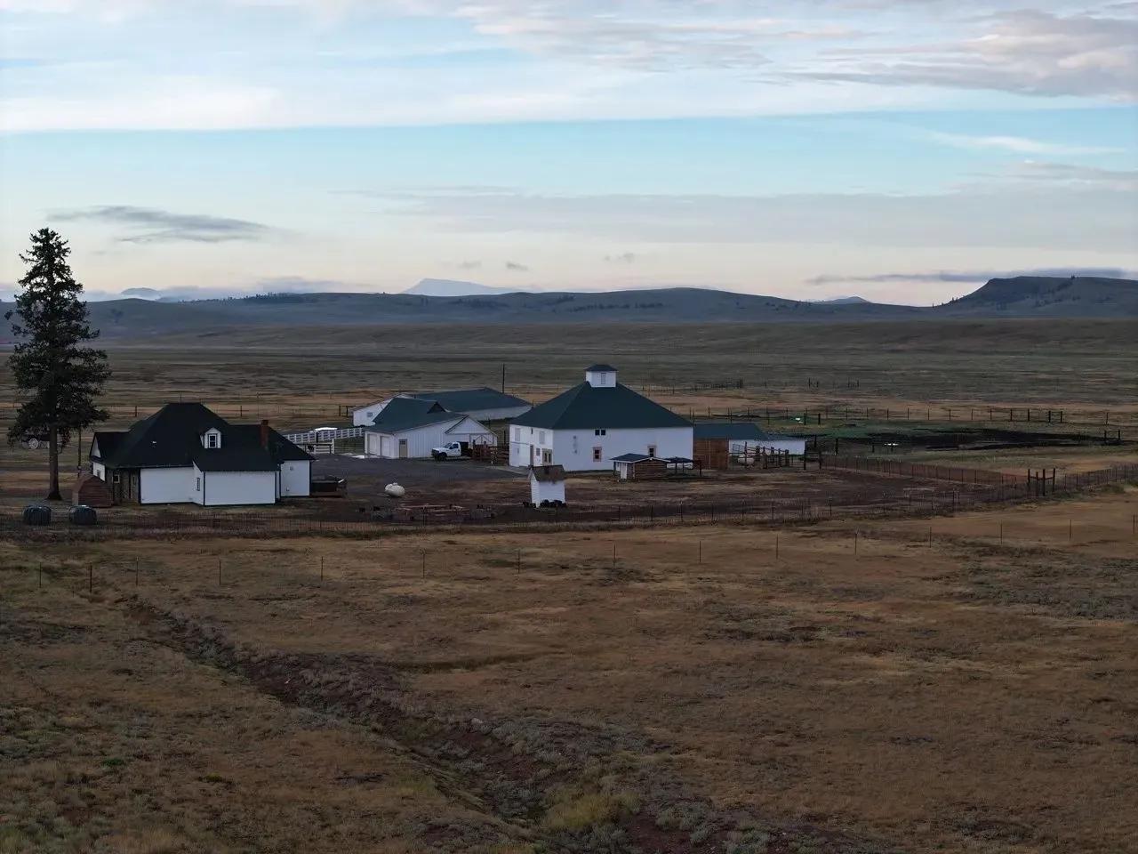 85077902-9