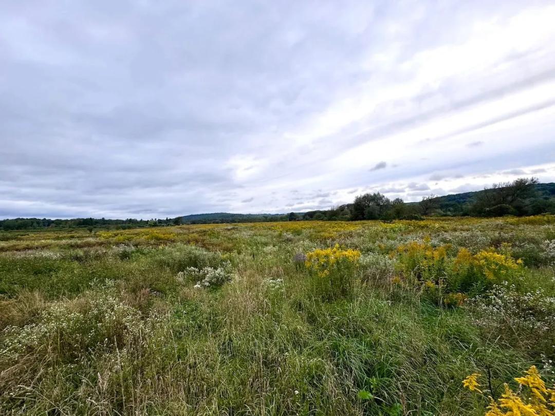 29 acres Recreational Land and Farmland on Black Creek in New Hudson NY Hyde Flats Rd