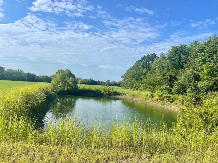 TBD CR 1287 Clarksville, TX 75426