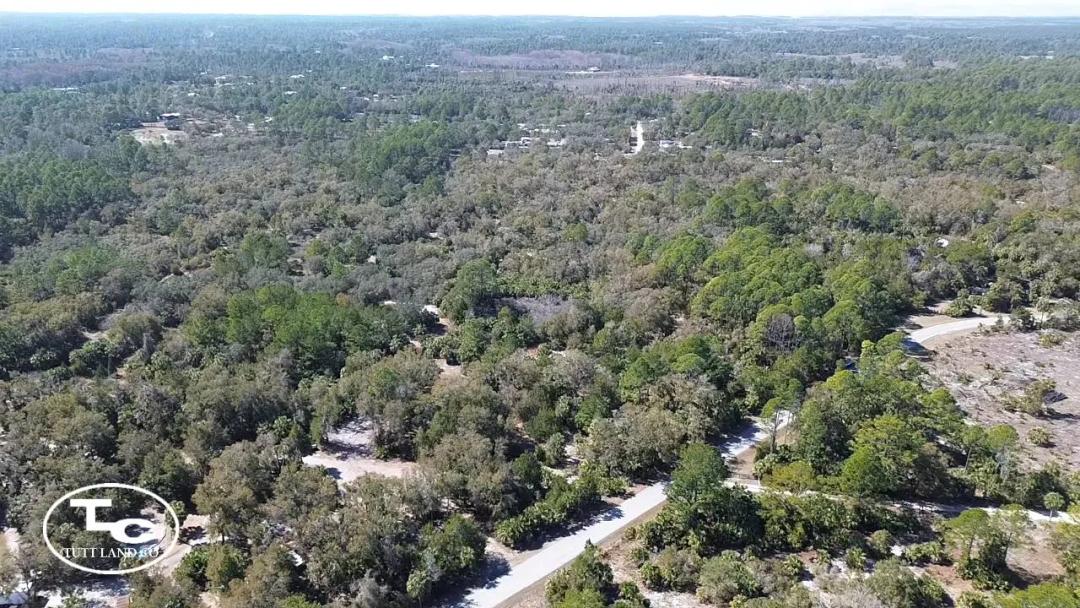 17.8 +/- Acres - Levy County - Cedar Key Tract