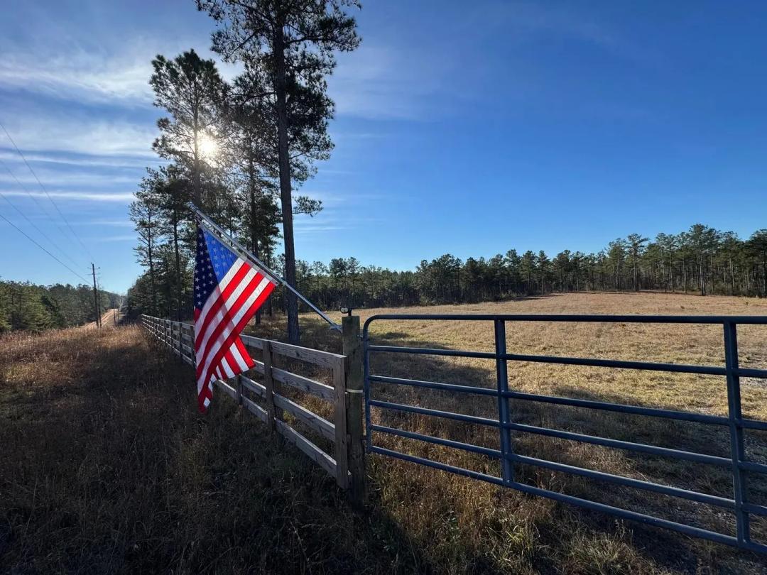 39 +/- Acres in Lee County, AL