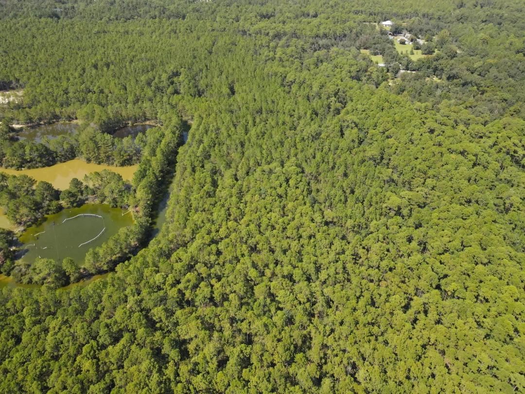 13 Acres in Harrison County, MS 