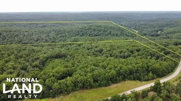 Salem 80 Acre Timber Tract