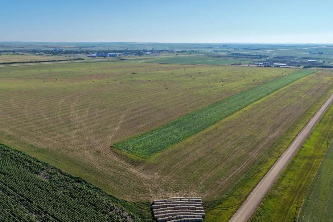 Lyman County, SD  155.42 Acres