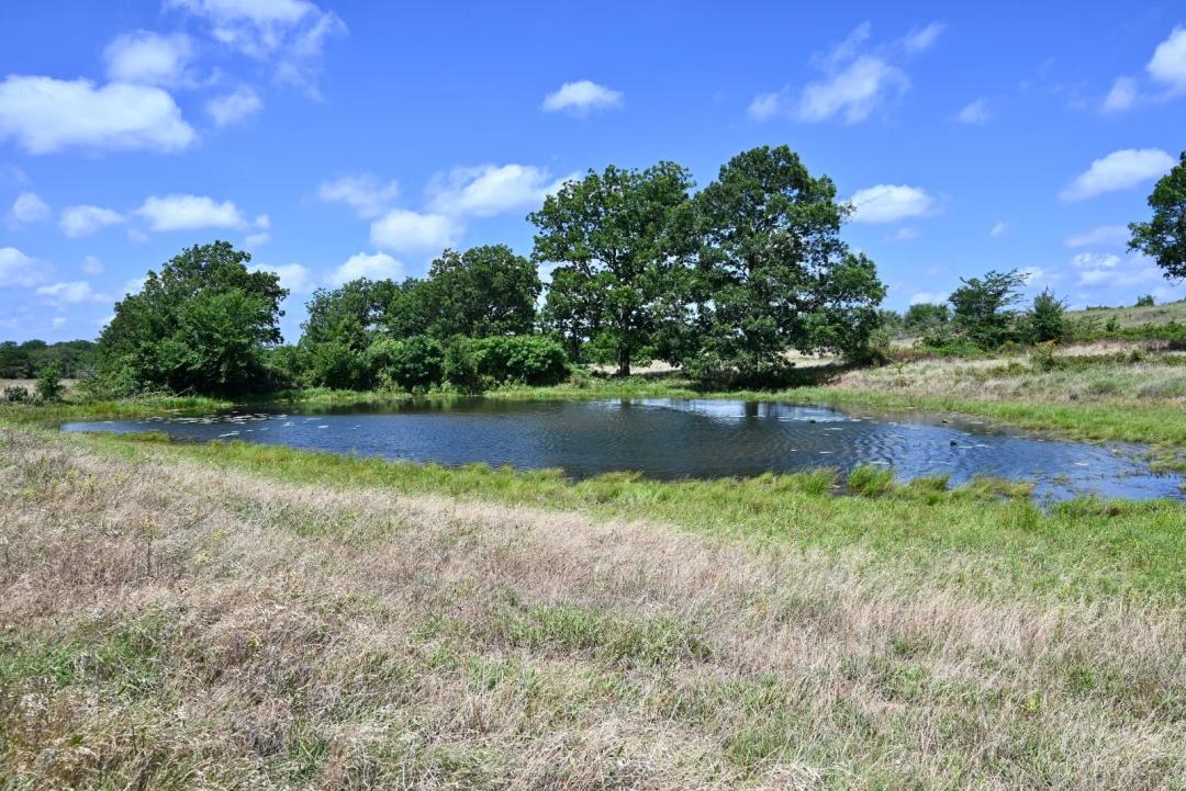 307.00 Acres at 307 Walnut Creek Ranch